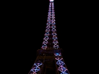 Paris 12-26-09 image 38